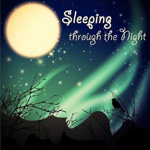 Sleeping Good Night - Song Download from Sleeping through the Night – Soft and Peaceful Songs, Music to Help you Sleep & Relax, Bedtime Stories Melodies for Toddler & Infant Sleep @ JioSaavn
