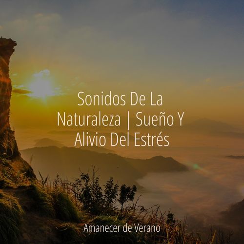 Cascada de Flores Silenciosas cover art