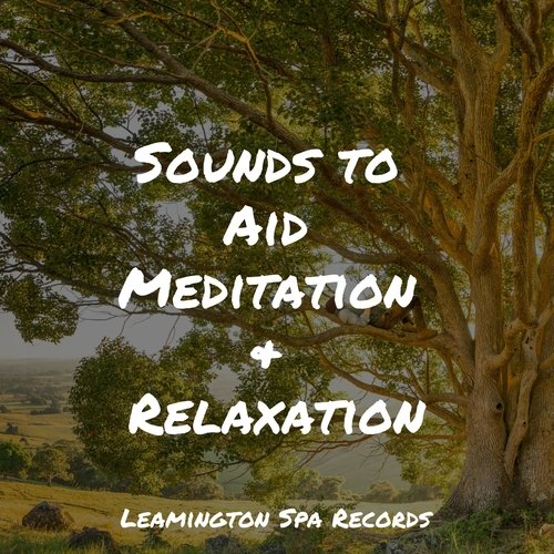 Sounds to Aid Meditation & Relaxation