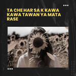 Ta Che Har Sa K Kawa Kawa Tawan Ya Mata Rase