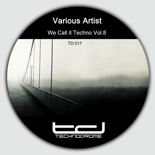 We Call It Techno, Vol. 8
