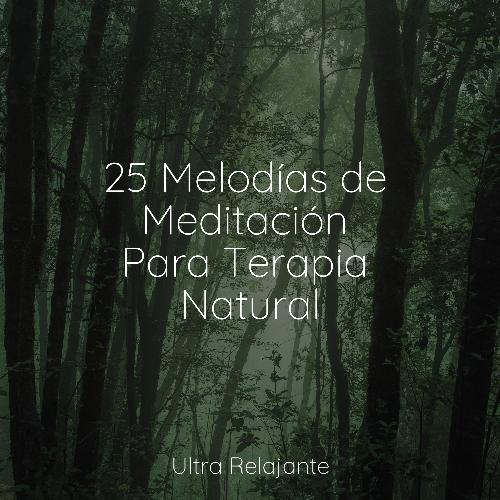 Cascada De La Música cover art