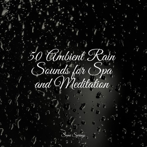 50 Perfect Rain Droplet Collection