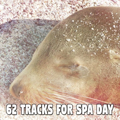 62 Tracks For Spa Day