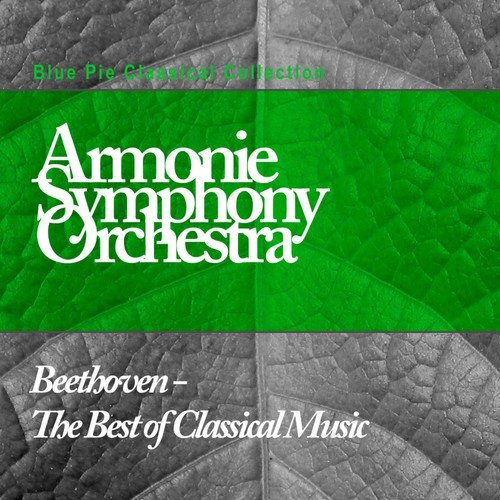 Armonie Symphony Orchestra
