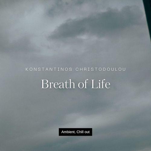 Flying Home cover art