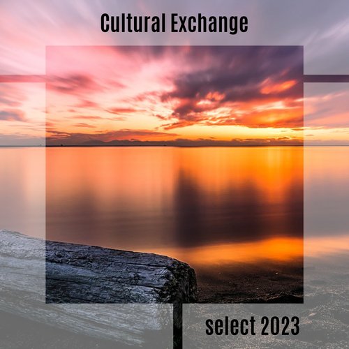 Mehmet Van Schaik (Pitch+4) cover art