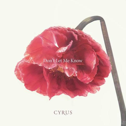 Don't Let Me Know cover art