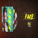 Fake