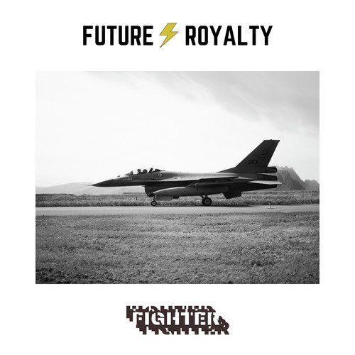 Fighter_poster_image