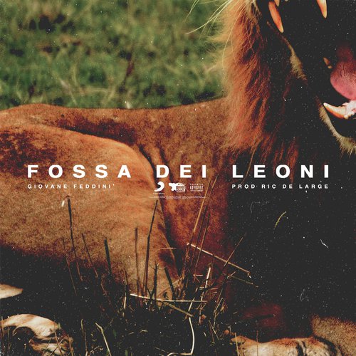 Fossa Dei Leoni (prod. Ric De Large)_poster_image