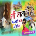 Go Mata Bhatkti Dol Sawnriya