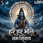 Har Har Bhole Namah Shivaya (Lofi)