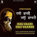 Hum Avgunaare Tu Sun Pyaare