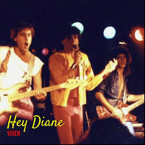 Hey Diane_poster_image