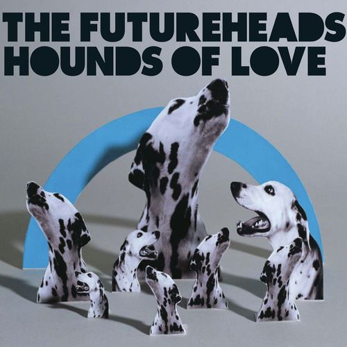 Hounds of Love (Mystery Jet's Pirate Invasion) (Mystery Jet's Pirate Invasion) cover art