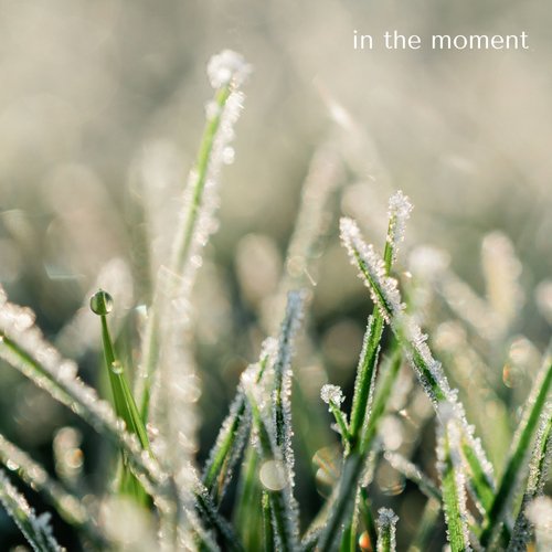 In The Moment