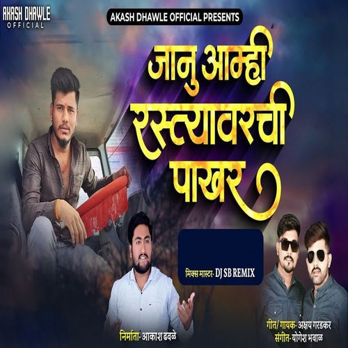 Janu Aamhi Rastyavarchi Pakhara