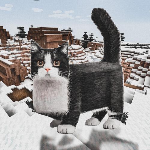 MInecraft Ice Biom Lofi
