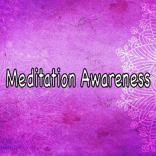 Meditation Awareness