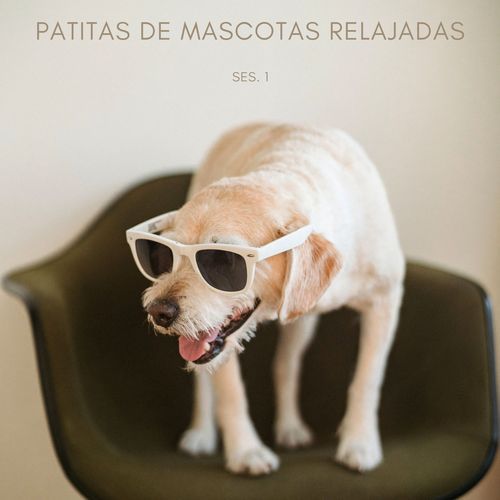 Música Para Gatos cover art