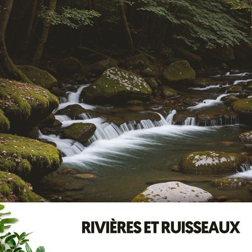 Rivières et Ruisseaux : Chuchotements de la Nature_poster_image