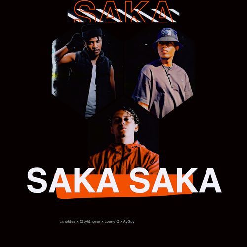 Saka Saka_poster_image