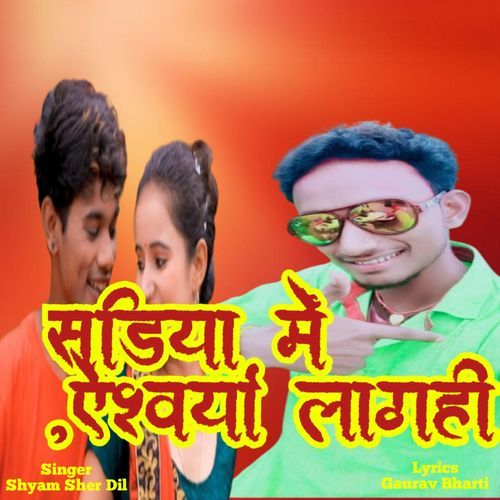 Sariya Me Aishvarya_poster_image