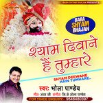 SHYAM DEEWANE HAIN TUMHARE (Hindi)
