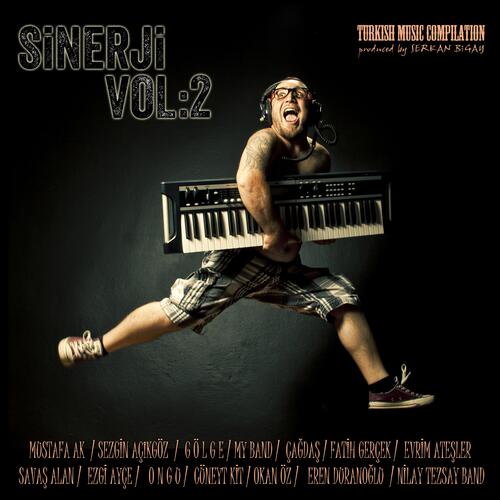 Sinerji, Vol. 2_poster_image