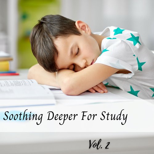 Soothing Deeper For Study Vol. 2_poster_image