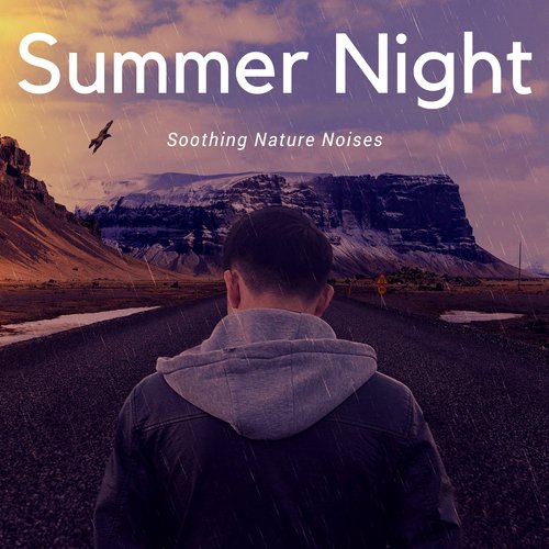 Summer Night: Audio Therapy, Calm after Workm Soothing Nature Noises, Unwind Your Nerves_poster_image