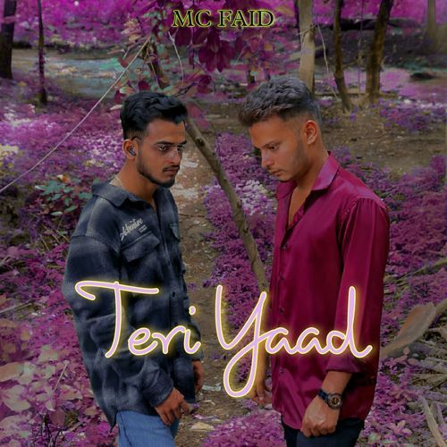 Teri Yaad