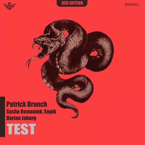 Test (Darian Jaburg Remix) cover art