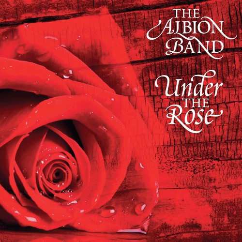 Under the Rose_poster_image