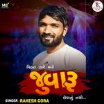 Vihat Tare Mare Juvaru Levanu Nathi