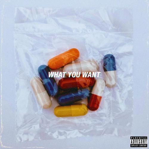 What You Want_poster_image