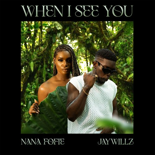 When I See You (feat. Jaywillz)_poster_image