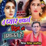 Ye Pyar Wafai Do Dil Ki Amanat Hai