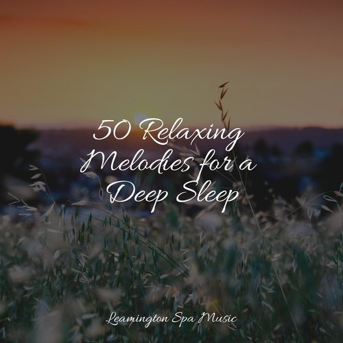 Sleep Music cover art