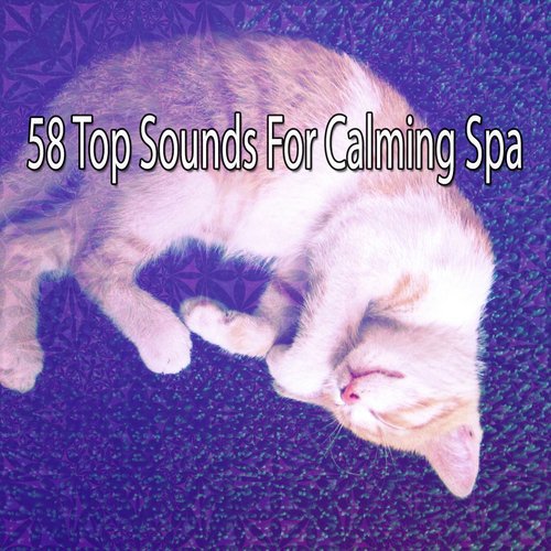 58 Top Sounds For Calming Spa