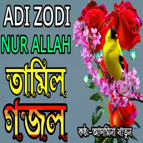 Adi Zodi Nor Allah