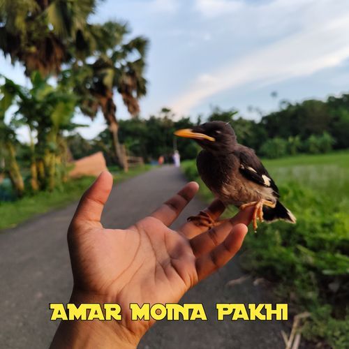 Amar Moina Pakhi