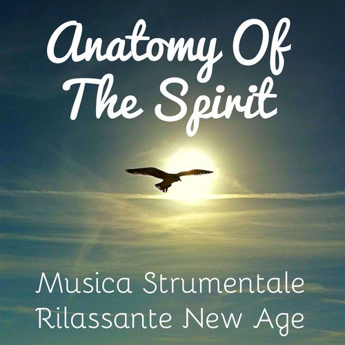 Anatomy Of The Spirit - Musica Strumentale Rilassante New Age per Massaggio Ayurvedico Allenare la Mente e Sonno Profondo_poster_image