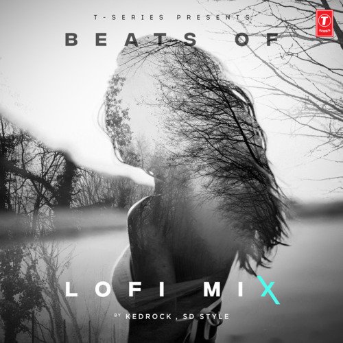 Roi Na Lofi Mix (From "Roi Na Lofi Mix")[Remix By Kedrock,Sd Style]