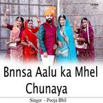 Bnnsa Aalu Ka Mhel Chunaya