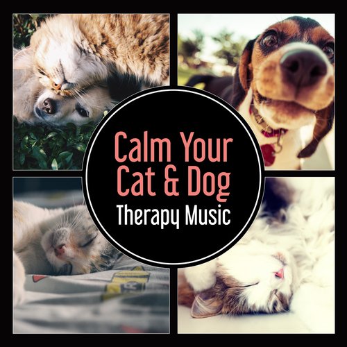 Dog Anxiety cover art