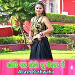 Chhori Mat Dole Tu Faisan Main