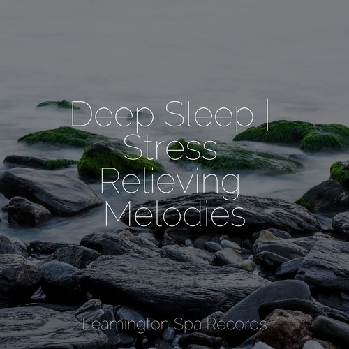 Deep Sleep | Stress Relieving Melodies