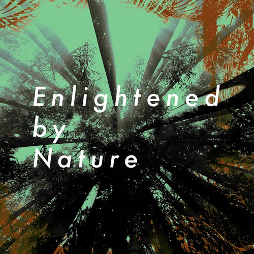 Enlightened by Nature